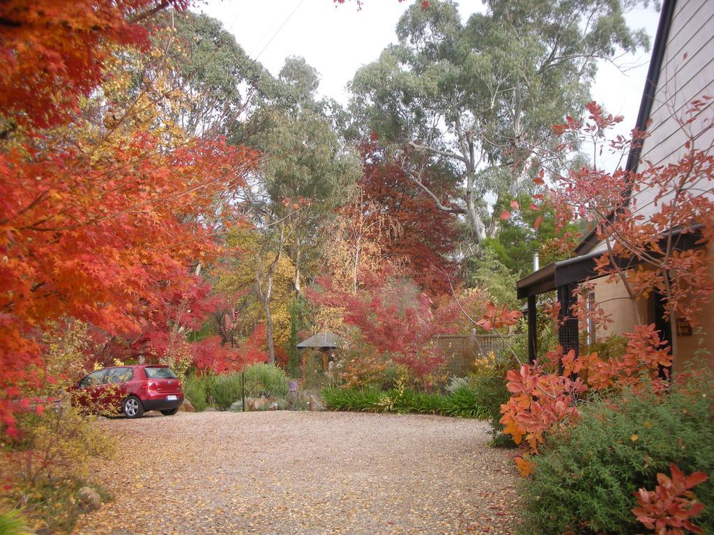 Merrimeet Cottages Bright Buitenkant foto