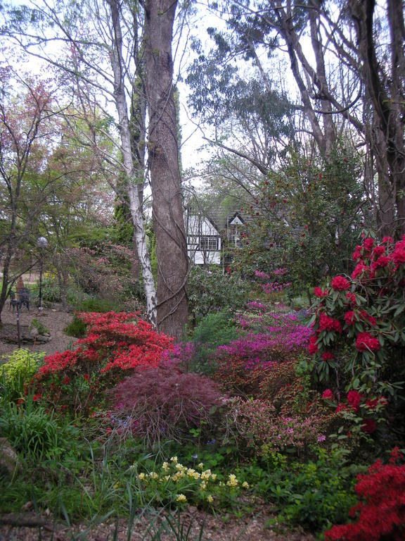Merrimeet Cottages Bright Buitenkant foto
